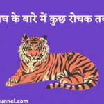बाघ के बारे में कुछ रोचक तथ्य | Interesting facts about Tiger in Hindi