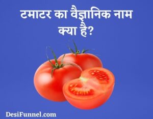 टमाटर का वैज्ञानिक नाम क्या है? - Tamatar (Tomato) Ka Scientific Naam