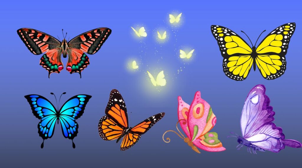 About Butterfly in Hindi Information | तितली के बारे में रोचक तथ्य